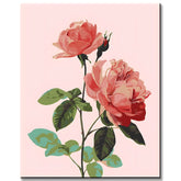 Malen nach Zahlen Blumen Rosa Rose