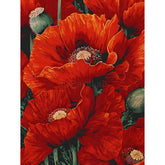 Bilder Malen nach Zahlen MohnBlumen