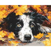 Malen nach Zahlen Treuer Hundeblick