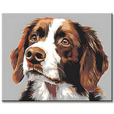 Malen nach Zahlen Hunde Irish Setter
