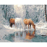 Malen nach Zahlen Pferde am teich im winter