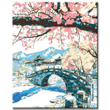 Malen nach Zahlen Frühling China