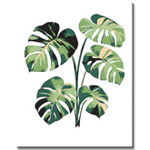Malen nach Zahlen Monstera Blätter