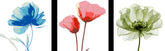 Malen nach Zahlen blaue Blume 3 Triptychon