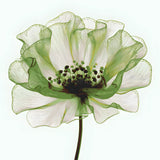 Malen nach Zahlen grune Blume