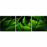 Malen nach Zahlen Blätter - 3-teilig (Triptychon)-SS-187-3-teilig