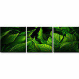 Malen nach Zahlen Blätter - 3-teilig (Triptychon)-SS-187-3-teilig