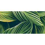 Malen nach Zahlen Pflanzen Kunst Blätter
