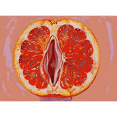 Malen nach Zahlen Grapefruit Abstrakt Modern Symbol Kunst