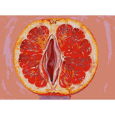 Malen nach Zahlen Grapefruit Abstrakt Modern Symbol Kunst