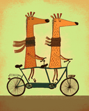 Malen nach Zahlen Tiere Giraffe auf dem Roller