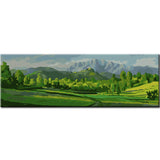 Malen nach Zahlen Kunst Natur grüne Wiesen und Berge