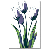 Malen nach Zahlen Kunst Natur Weisse Tulpen