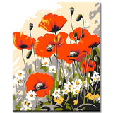 Malen nach Zahlen Roter Klatschmohn