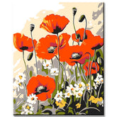 Malen nach Zahlen Rote MohnBlumen