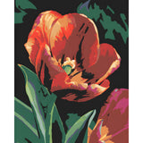 Malen nach Zahlen Blühende Tulpe