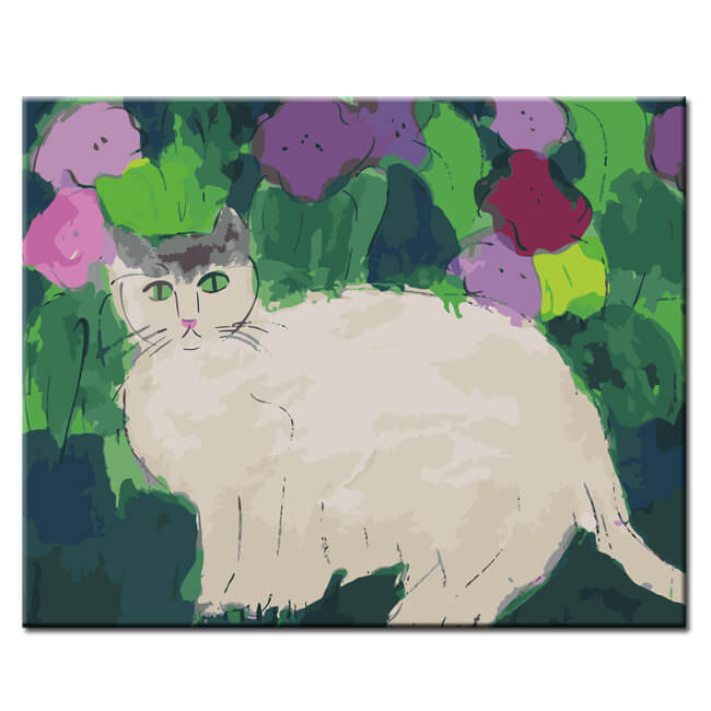 Malen nach Zahlen Kunst Weiße Katze mit Grünen Augen im Gras