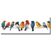 Malen nach Zahlen Kunst Tier Viele Bunte Vögel sitzen auf Bügeln an der Leine