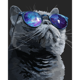 Malen nach Zahlen Katze mit Brille