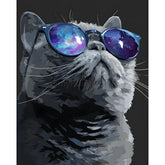 Malen nach Zahlen Katze mit Brille