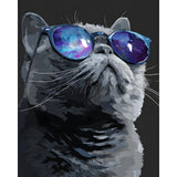 Malen nach Zahlen Katze mit Brille