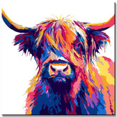 Malen nach Zahlen Farbiges Highland Hochland Rind