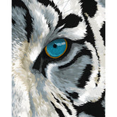 Malen nach Zahlen Weißer Tiger mit blauem Auge