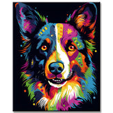 Malen nach Zahlen Tierkunst Malerei Border Collie