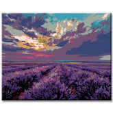 Malen nach Zahlen Bilder lavendelfeld