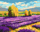 Malen nach Zahlen Blumen Lavendelfeld vor Dorf
