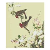 Malen nach Zahlen Vögel und Blüten Tiere