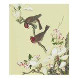 Malen nach Zahlen Vögel und Blüten Tiere