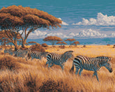 Malen nach Zahlen Tiere Zebra herde