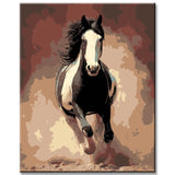 Malen nach Zahlen Pferde schwarz weisses pferd