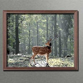 Malen nach Zahlen Pferde schwarz weisses