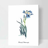 Malen nach Zahlen für Erwachsene Blumen Iris