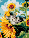 Malen nach Zahlen katzchen schlaft auf Sonnenblumen