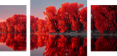 Malen nach Zahlen rosa Ufer - 3-teilig (Triptychon)-SS-084