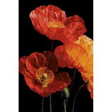 Malen nach Zahlen Blumen