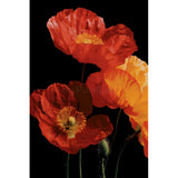 Malen nach Zahlen Blumen