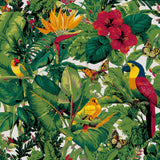 Malen nach Zahlen Schmetterling Dschungel