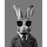 Malen nach Zahlen Hase cool