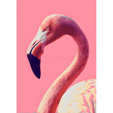Malen nach Zahlen Flamingo Porträt