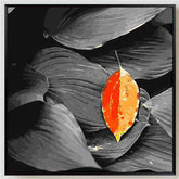 Malen nach Zahlen Blätter schwarz weiss