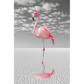 Malen nach Zahlen Flamingo am Ufer