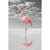 Malen nach Zahlen Flamingo am Ufer