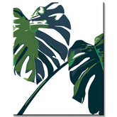 Malen nach Zahlen Monstera Blätter Grün Pflanzenkunst