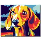 Malen nach Zahlen Dackel Portrait bunt