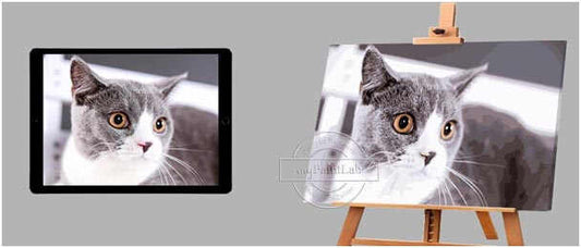 Malen nach Zahlen Wunschmotiv für Katzen