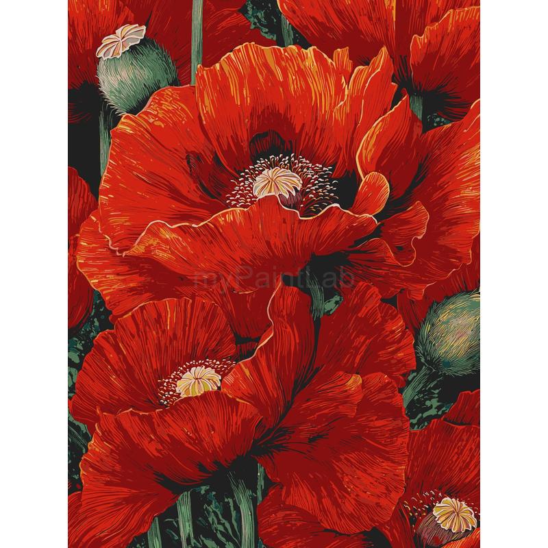 Bilder Malen nach Zahlen MohnBlumen